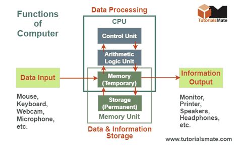 What Software Controls a Computer’s Basic Functions? And Why Does It Sometimes Feel Like It Has a Mind of Its Own?